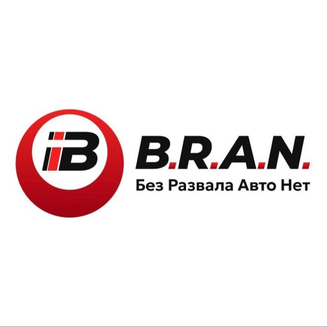B.R.A.N. Logo